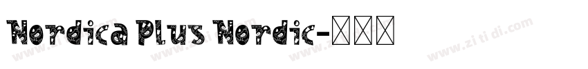 Nordica Plus Nordic字体转换